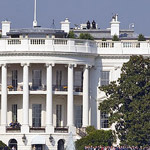 white-house