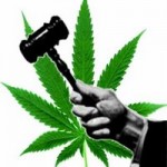 JudgeMarijuana