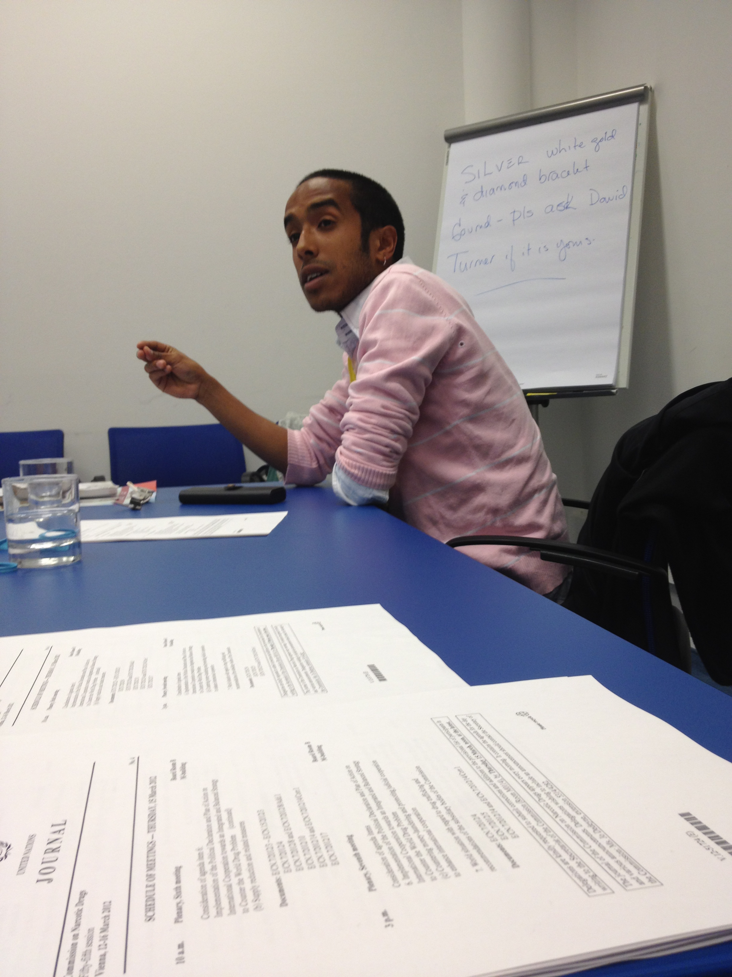 Experiencing the 55th Commission on Narcotic Drugs: A Student Reflects