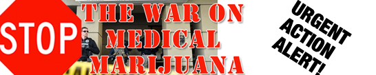 Stand up for state medical marijuana laws!