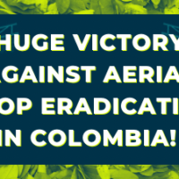 Huge Victory Against Aerial Crop Eradication in Colombia!