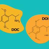 SSDP FIGHTS THE DEA IN COURT TO PRESERVE RESEARCH CHEMICALS