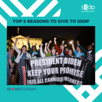 Top 5 Reasons to Support SSDP this Giving Tuesday